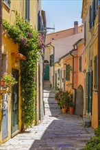 Narrow cobbled alley between houses with pastel-coloured facades, Sant'Ilario in Campo, Elba,