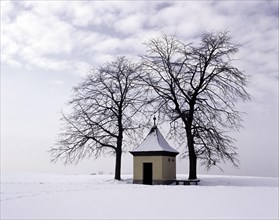 Small chapel in the Franconian Forest in winter, between two trees in a snowy landscape, district
