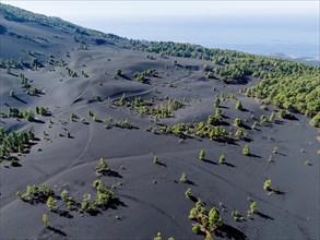 Aerial view of the lava sand areas Montana de Enrique and Quemada, Tacande de Arriba, La Palma,