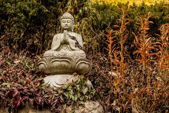 Miniature stone carved sitting Buddha on stone ledge in tall grass