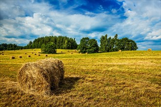 Agriculture background, Hay bales on field in summer