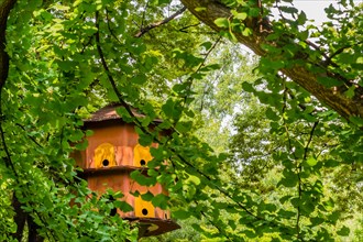 Large brown birdhouse partially hidden by tree branches in dense forest in public park