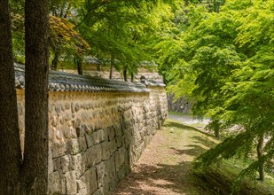 Tiled mud and stone temple wall shaded by beautiful lush trees in mountain forest park