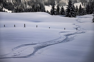 Ski touring trail in wintry alpine landscape, Balderschwang, Oberallgaeu, Bavaria, Germany, Europe