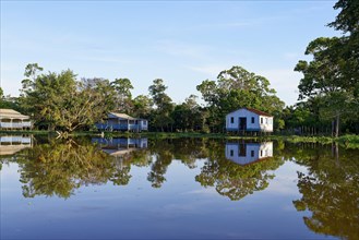 Wooden houses on stilts reflecting in the Amazon River, Amazonas state, Brazil, South America