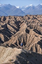 Hiker walking along a canyon, Tian Shan mountains in the background, eroded hilly landscape,