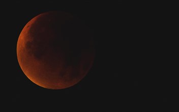 A reddish moon during a total lunar eclipse in the dark night sky, Haan, North Rhine-Westphalia,
