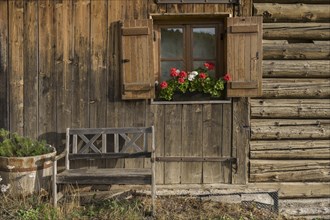 Alpine hut with wooden bench and window with shutters and geraniums, Alpe di Siusi, South Tyrol,