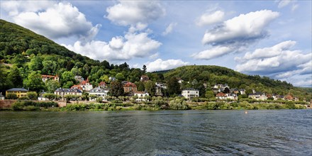 Residential suburb along the Neckar River, Heidelberg, Baden Wurttemberg, Germany, Europe
