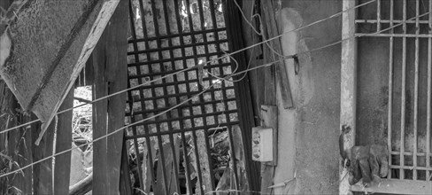 Black and white of interior of abandoned shack with wood lattice windows and an old electrical