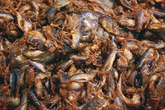 Close-up of prohok or fermented salted fish, a traditional local delicacy in exotic khmer cuisine