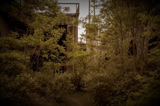 Dilapidated structure surrounded by dense vegetation, mysterious atmosphere, former Rethel railway
