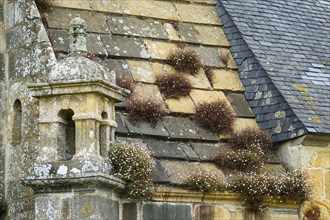Flower-covered roof of the Saint-Sauveur church on the Riviere du Faou on the Rade de Brest, Le