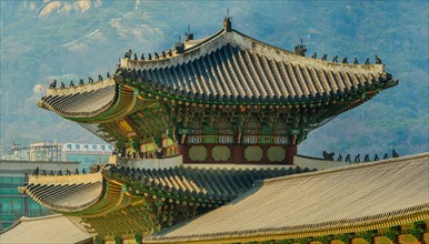 Seoul, South Korea, March 18, 2017:Tiled roof of Gyeong Bok Gung Palace in stunning colors with