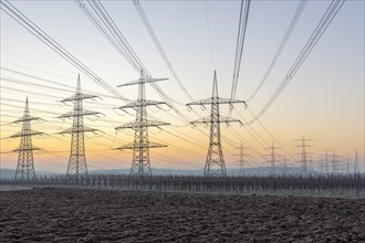 Power pylons, overhead lines, energy supply, in front of sunrise, twilight, vineyard, field,