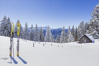 Touring skis standing in the snow in front of a hut and snow-covered trees, mountain landscape,