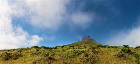 Panoramic view of the Pico volcano surrounded by green meadows and clear skies, Highlands, Pico