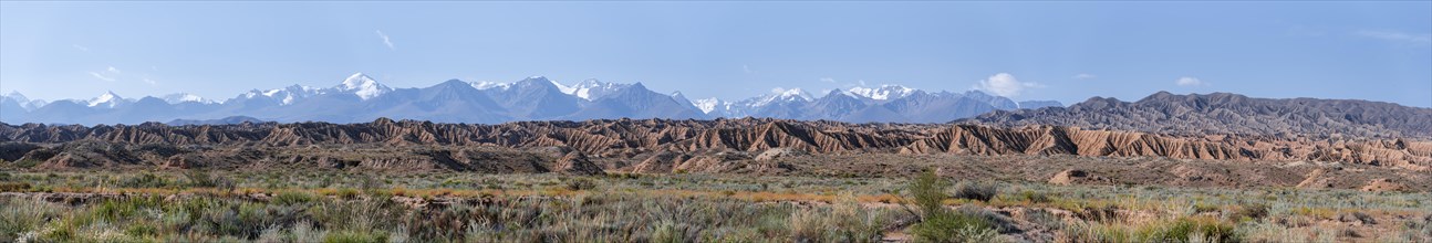Panorama, canyons in desert landscape, mountains of the Tian Shan in the background, eroded hilly