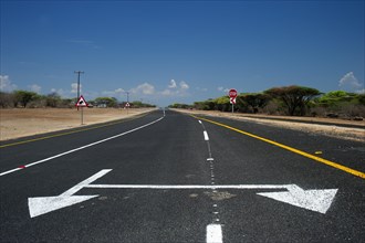Road with double directional arrow, asphalt, confusing, direction, directional arrow, road,