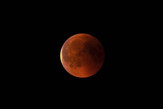 Blood red full moon at night, shining against a black sky, Haan, North Rhine-Westphalia, Germany,