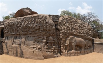 Relief, Arjuna's penance, descent of the Ganges, UNESCO World Heritage Site, Mahabalipuram or