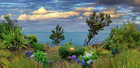 Colourful garden with a view of the sea and a cloudy sky in the background, lava rocks coastal path