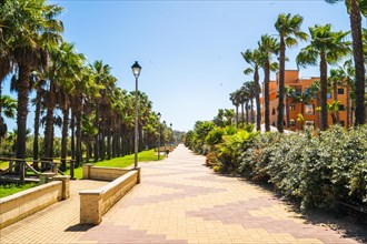 Seaside promenade with palm trees in Isla Canela, andalucia, Spain, Europe