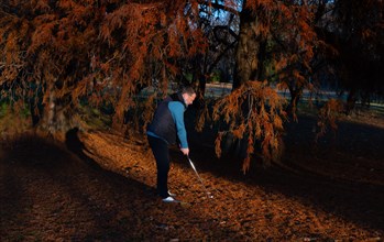 Male Golfer Below an Autumn Tree and Hitting His Golf Ball on Golf Course in a Sunny Day in