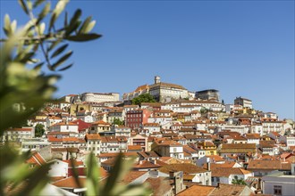 View at the townscape from above, Coimbra