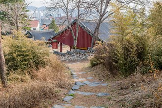 Pathway through tall shrubs and beside traditional Korean temple buildings