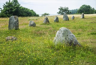 Disas Ting is a rectangular stone setting in the village of Svarte, west of Ystad. The name Disas