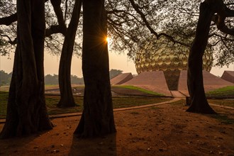Sunrise, old banyan tree, meditation centre Matrimandir or Matri Mandir, future city Auroville,