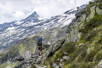 Mountaineer on a rocky hiking trail, Berliner Hoehenweg, mountain panorama with Schrammacher peak,