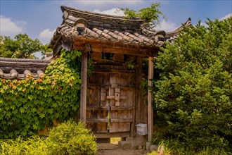Traditional Korean wooden gate with ceramic tile roof set in wall covered with ivy and bushes