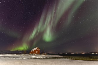 Northern lights over a red house by the sea, aurora borealis, snow, winter, Kvalsund, Repparfjord,
