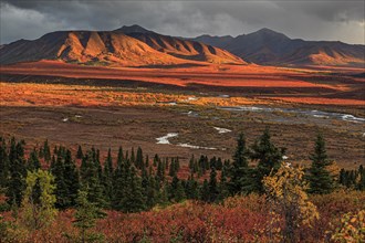 View over autumn landscape with river and mountains, evening light, clouds, tundra, Denali Park