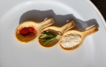 Species in Spoon Like Saffron and Parmesan Cheese and Rosemary with Sunlight in Switzerland