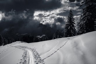 Ski touring track in front of a dark sky, Balderschwang, Oberallgaeu, Bavaria, Germany, Europe