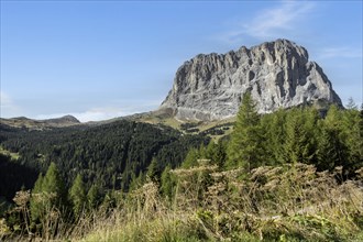 View of the Sassolungo, Dolomites, South Tyrol, Italy, Europe