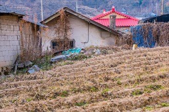 House with a bright red roof behind old dilapidated house in a rural community in South Korea
