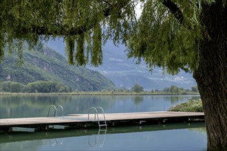 Bathing jetty on Lake Kaltern (Lago di Caldaro), in rainy weather, South Tyrol, Italy, Europe