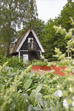 Herb garden at Sofiero Palace & Gardens, Helsingborg, Skane laen, Sweden, Europe