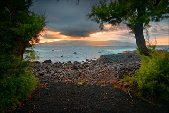 Sunset over the coast of Madalena with volcanic sandy beach and trees, Madalena, Pico, Azores,