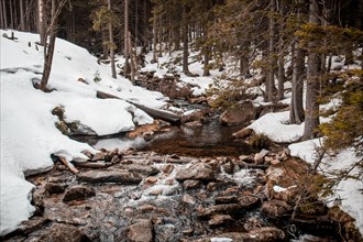 A serene winter creek flows through a snowy forest with rocks peaking out