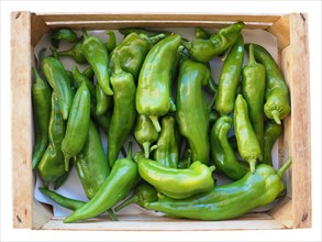 Green peppers in crate isolated over white