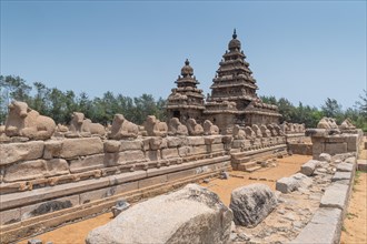 Nandi's Shore Temple dedicated to Shiva, UNESCO World Heritage Site, Mahabalipuram or Mamallapuram,