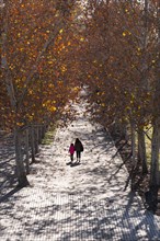 Mother and daughter walking in a park with autumn colors