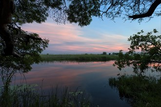 Riverbank in the evening sun in the Okavango Delta on the Kwando River in BwaBwata National Park,