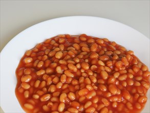 Baked beans food
