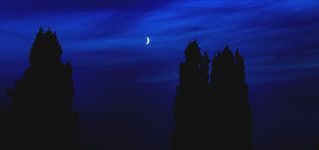 Silhouettes of trees against a dark blue night sky with a visible moon, Haan, North